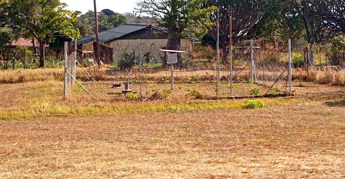 Campus grounds and school garden project